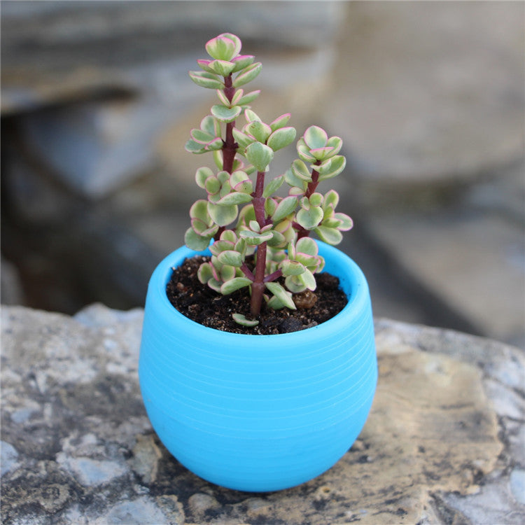 925051e3aee9811a02c5076335cb3cb2