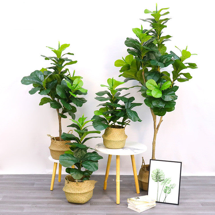 Bonsai Fake Trees